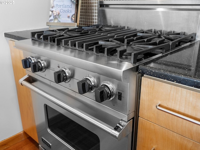 interior details with stainless steel range and tasteful backsplash