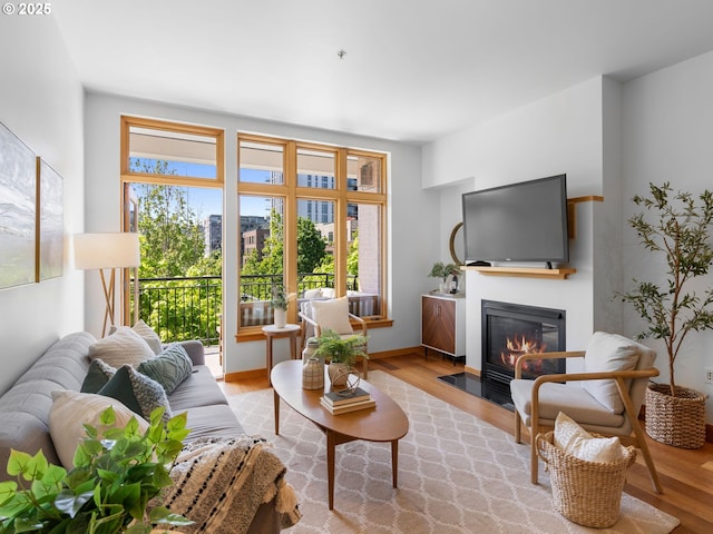 living area with a fireplace with flush hearth and wood finished floors