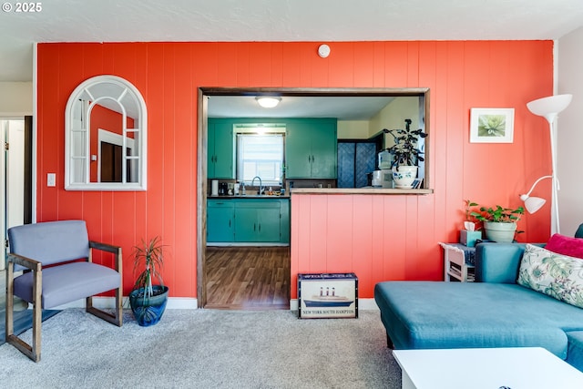 carpeted living room with sink