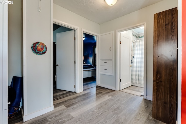 hall featuring light hardwood / wood-style floors