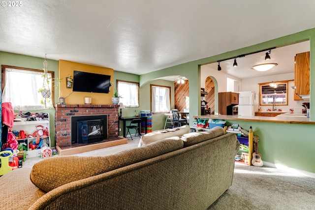 living room with a fireplace, rail lighting, and carpet