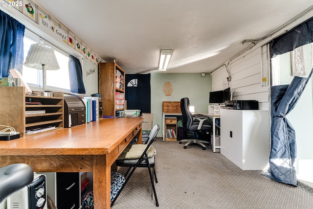 office area featuring carpet