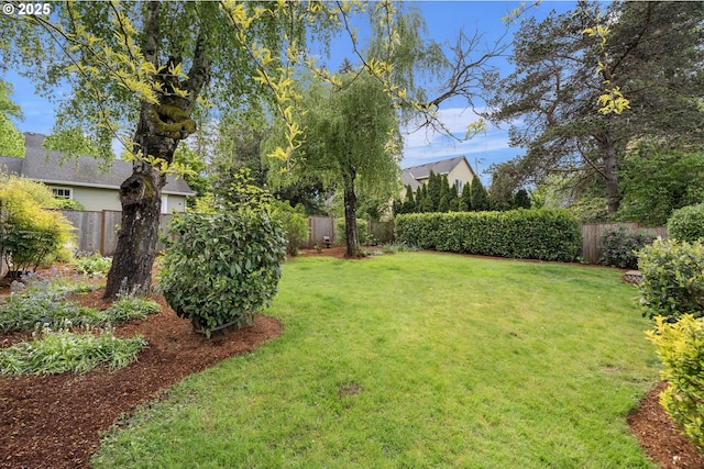 view of yard featuring a fenced backyard