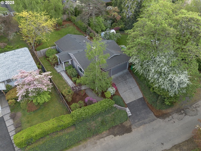 bird's eye view