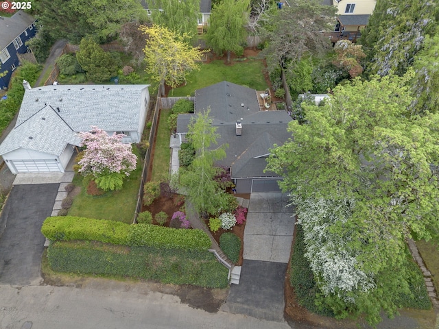 aerial view