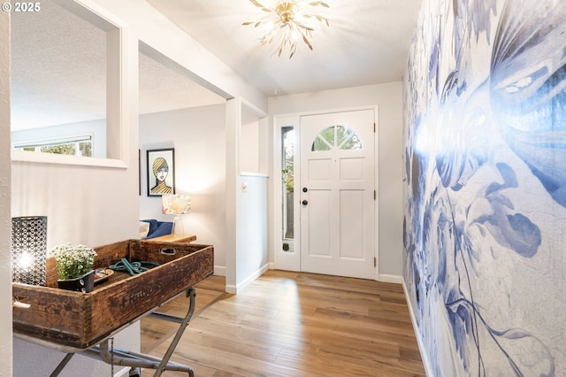 foyer entrance featuring baseboards, a healthy amount of sunlight, and wood finished floors