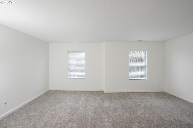 spare room featuring carpet and a wealth of natural light