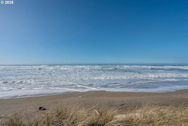 water view with a view of the beach