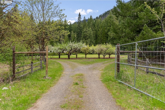 view of road featuring a gated entry and a forest view