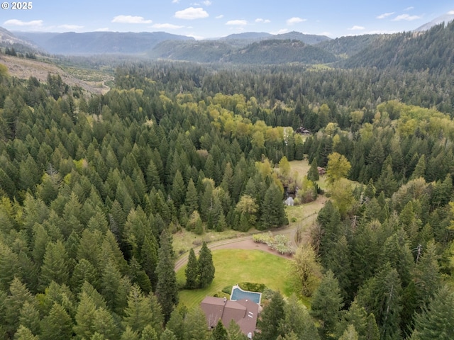 birds eye view of property featuring a view of trees and a mountain view