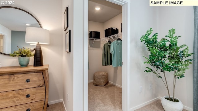 interior space with vanity, baseboards, and a spacious closet