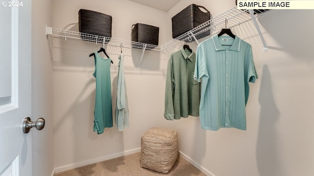 spacious closet with carpet floors