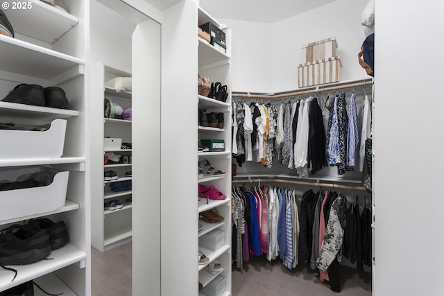walk in closet featuring wood finished floors