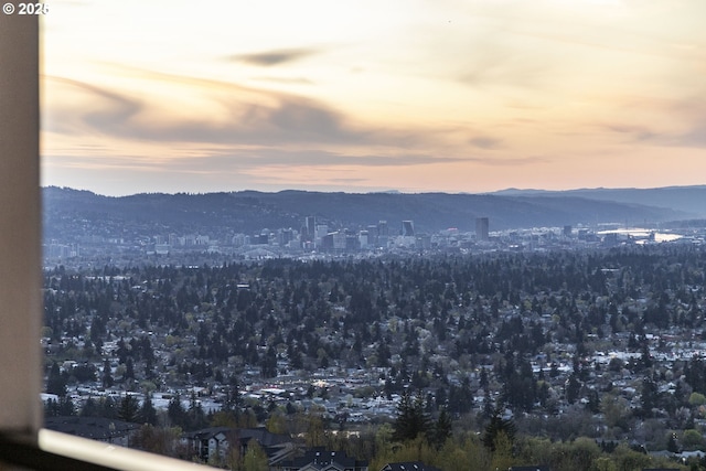 mountain view