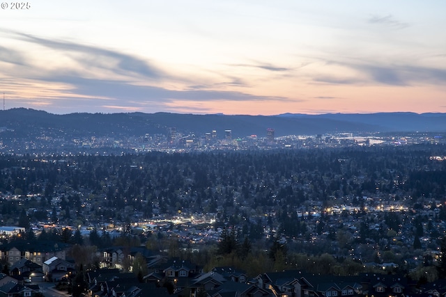 city view featuring a mountain view