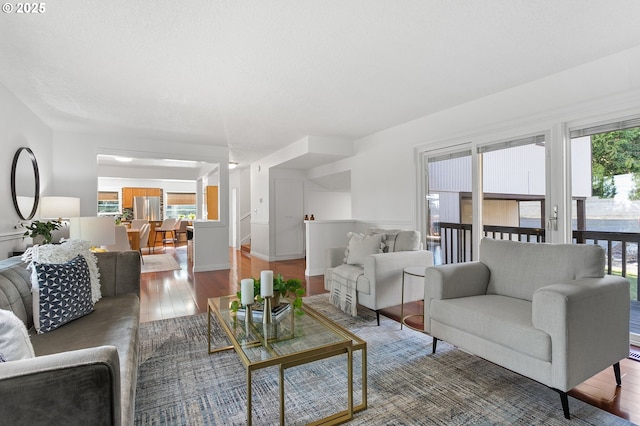 living room featuring hardwood / wood-style floors