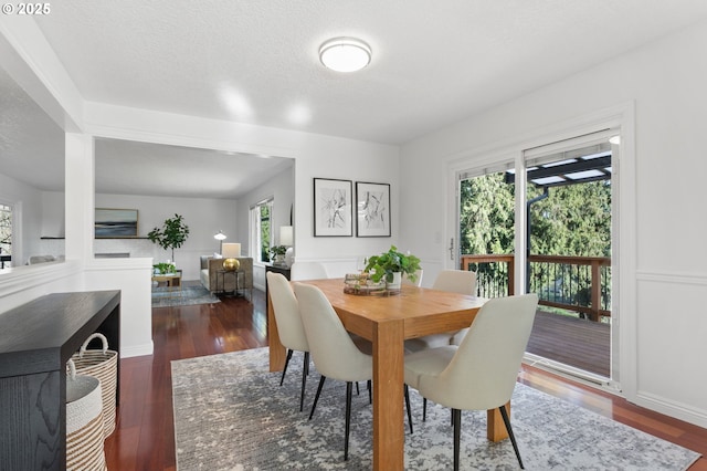 dining room featuring a textured ceiling, dark wood-type flooring, and a healthy amount of sunlight