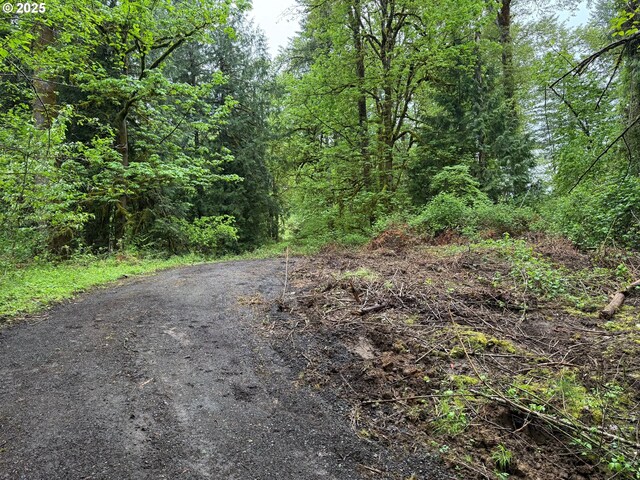 28381 S Salo Rd, Mulino, OR 97042