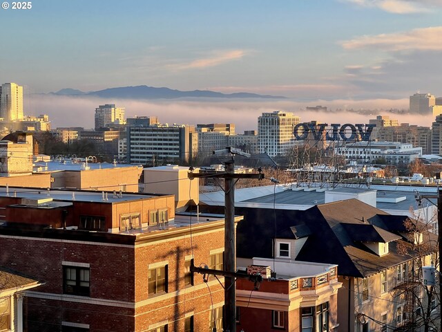 812 SW Saint Clair Ave Unit 3, Portland, OR 97205 - view of city featuring mountains