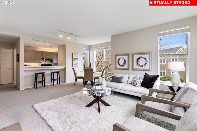 living room featuring healthy amount of natural light, light colored carpet, baseboards, and track lighting