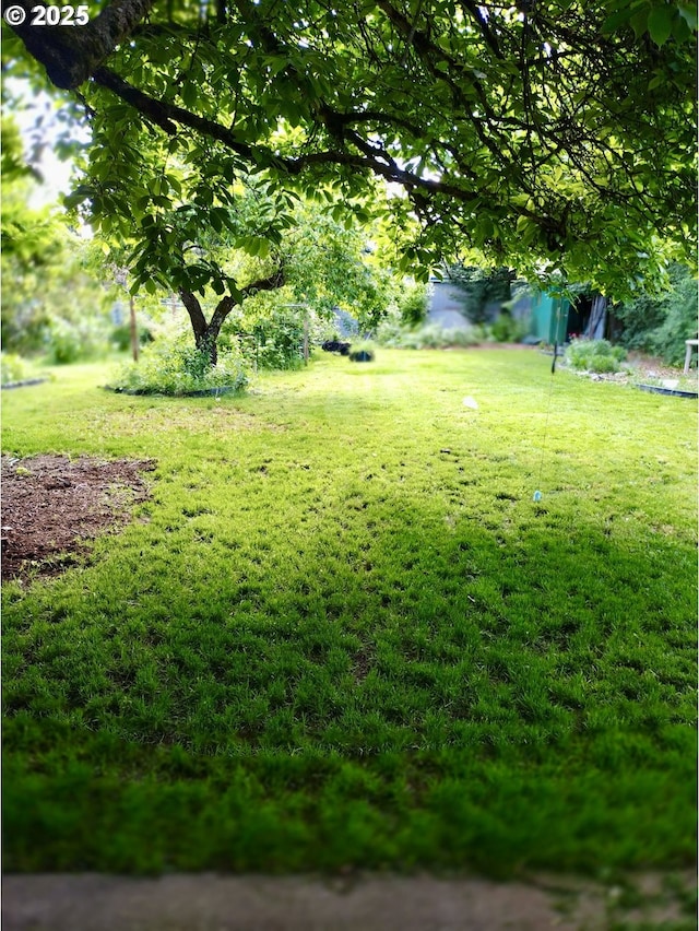 1218 SE 162nd Ave, Portland, OR 97233 - view of grassy yard