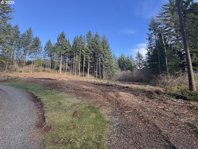 NE 65th St, Camas WA, 98607 land for sale