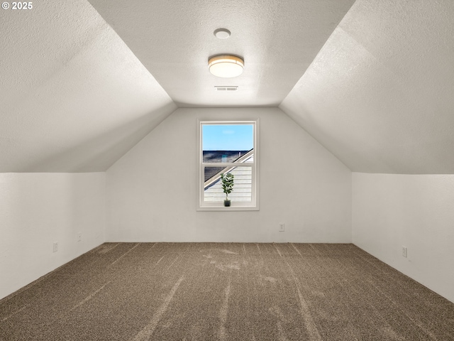 additional living space with carpet floors, a textured ceiling, and lofted ceiling