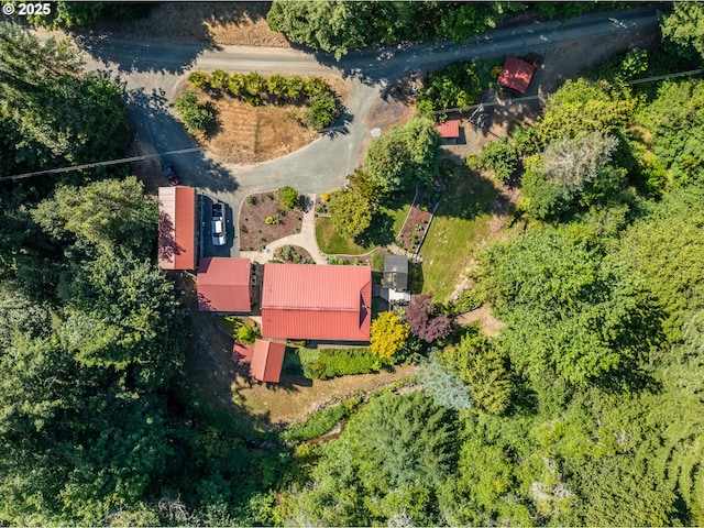 51256 Salmon Gulch Rd, Myrtle Point, OR 97458 - aerial view