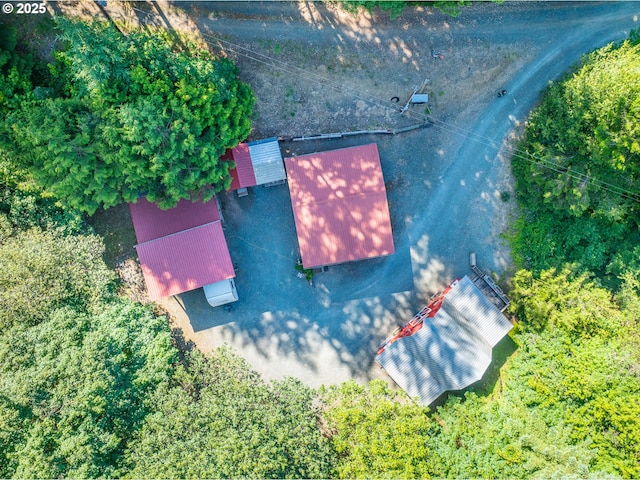 51256 Salmon Gulch Rd, Myrtle Point, OR 97458 - view from above of property