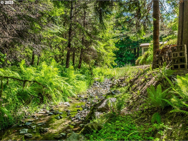51256 Salmon Gulch Rd, Myrtle Point, OR 97458 - view of wooded area