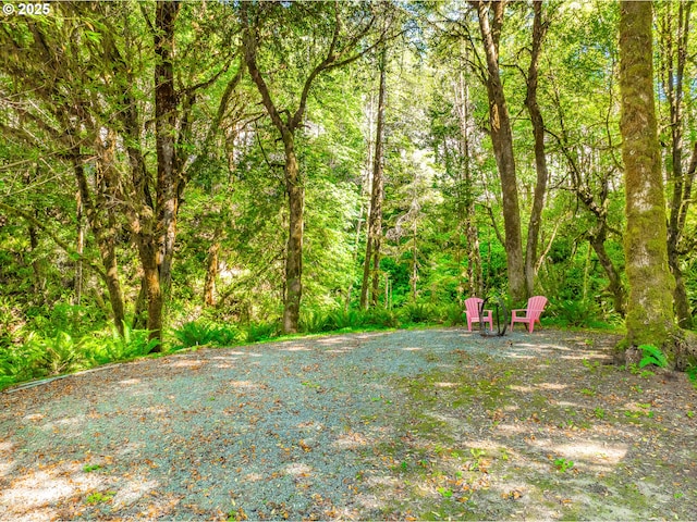 51256 Salmon Gulch Rd, Myrtle Point, OR 97458 - view of yard with a view of trees