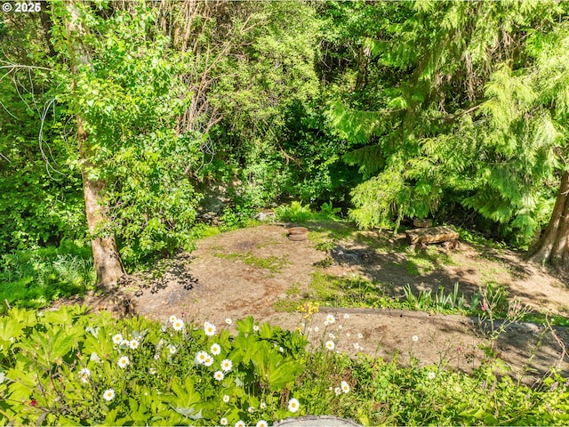 51256 Salmon Gulch Rd, Myrtle Point, OR 97458 - view of nature