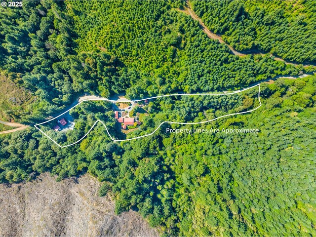51256 Salmon Gulch Rd, Myrtle Point, OR 97458 - aerial view of property's location with property boundaries highlighted