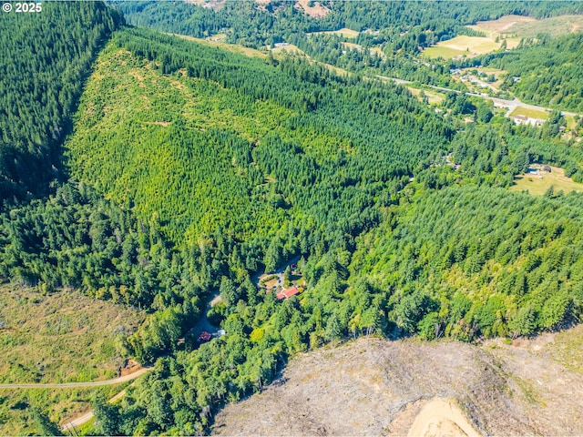 51256 Salmon Gulch Rd, Myrtle Point, OR 97458 - view of property location featuring a forest