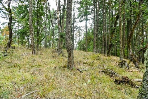 32475 Fox Hollow Rd, Eugene, OR 97405 - view of nature