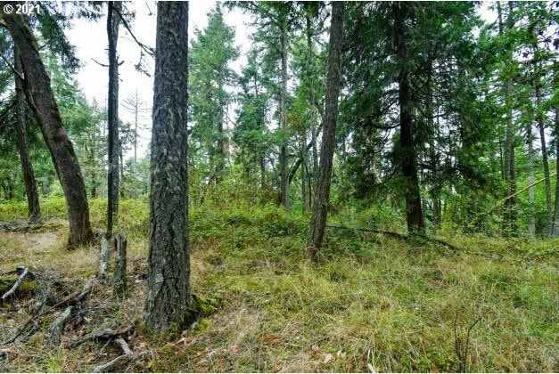 32475 Fox Hollow Rd, Eugene, OR 97405 - view of undeveloped land