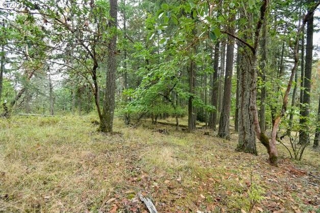 32475 Fox Hollow Rd, Eugene, OR 97405 - view of tree filled area