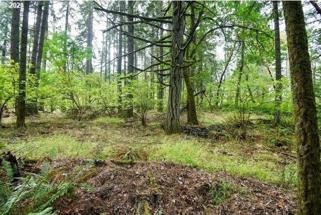 32475 Fox Hollow Rd, Eugene, OR 97405 - view of tree filled area