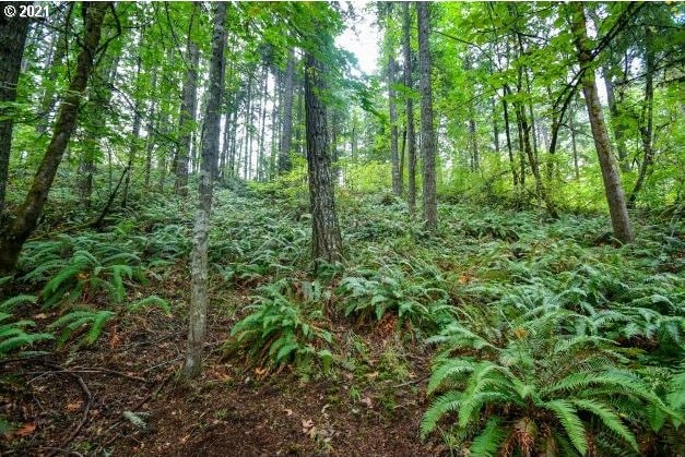 32475 Fox Hollow Rd, Eugene, OR 97405 - view of wooded area