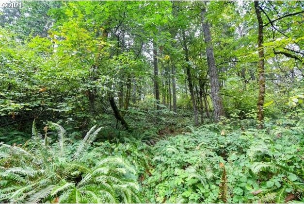 32475 Fox Hollow Rd, Eugene, OR 97405 - view of wooded area