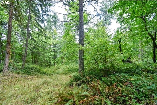 32475 Fox Hollow Rd, Eugene, OR 97405 - view of wooded area