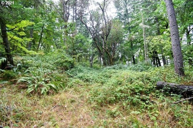 32475 Fox Hollow Rd, Eugene, OR 97405 - view of woods
