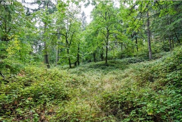 32475 Fox Hollow Rd, Eugene, OR 97405 - view of woods