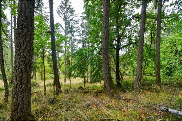32475 Fox Hollow Rd, Eugene, OR 97405 - view of undeveloped land