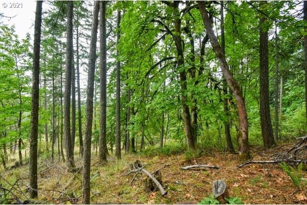 32475 Fox Hollow Rd, Eugene, OR 97405 - view of local wilderness