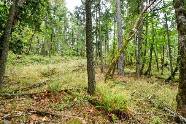32475 Fox Hollow Rd, Eugene, OR 97405 - view of tree filled area