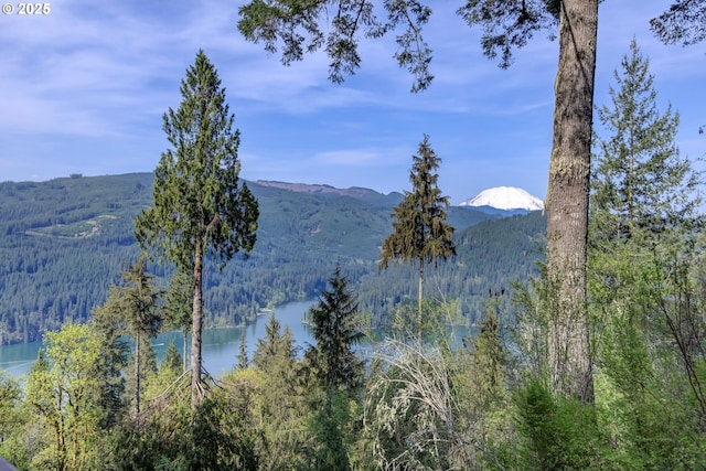 24706 NE Columbia Tie Rd Unit 9/54, Amboy, WA 98601