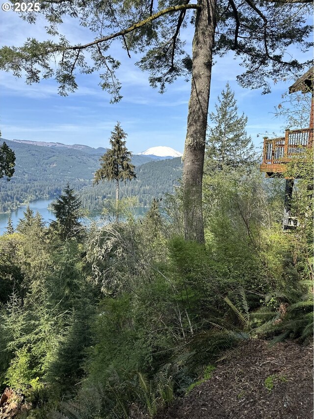 24706 NE Columbia Tie Rd Unit 9/54, Amboy, WA 98601