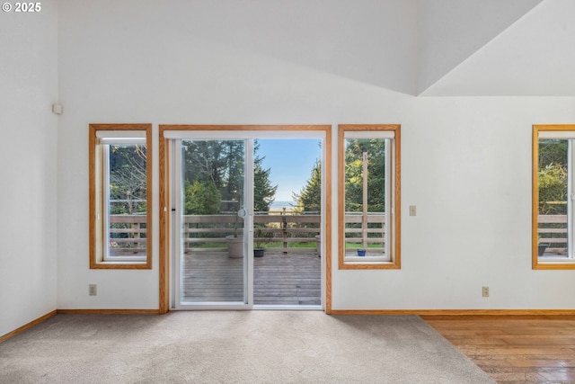 unfurnished room featuring lofted ceiling and carpet