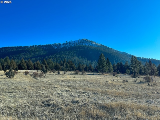 Edgewood Dr, Canyon City OR, 97820 land for sale